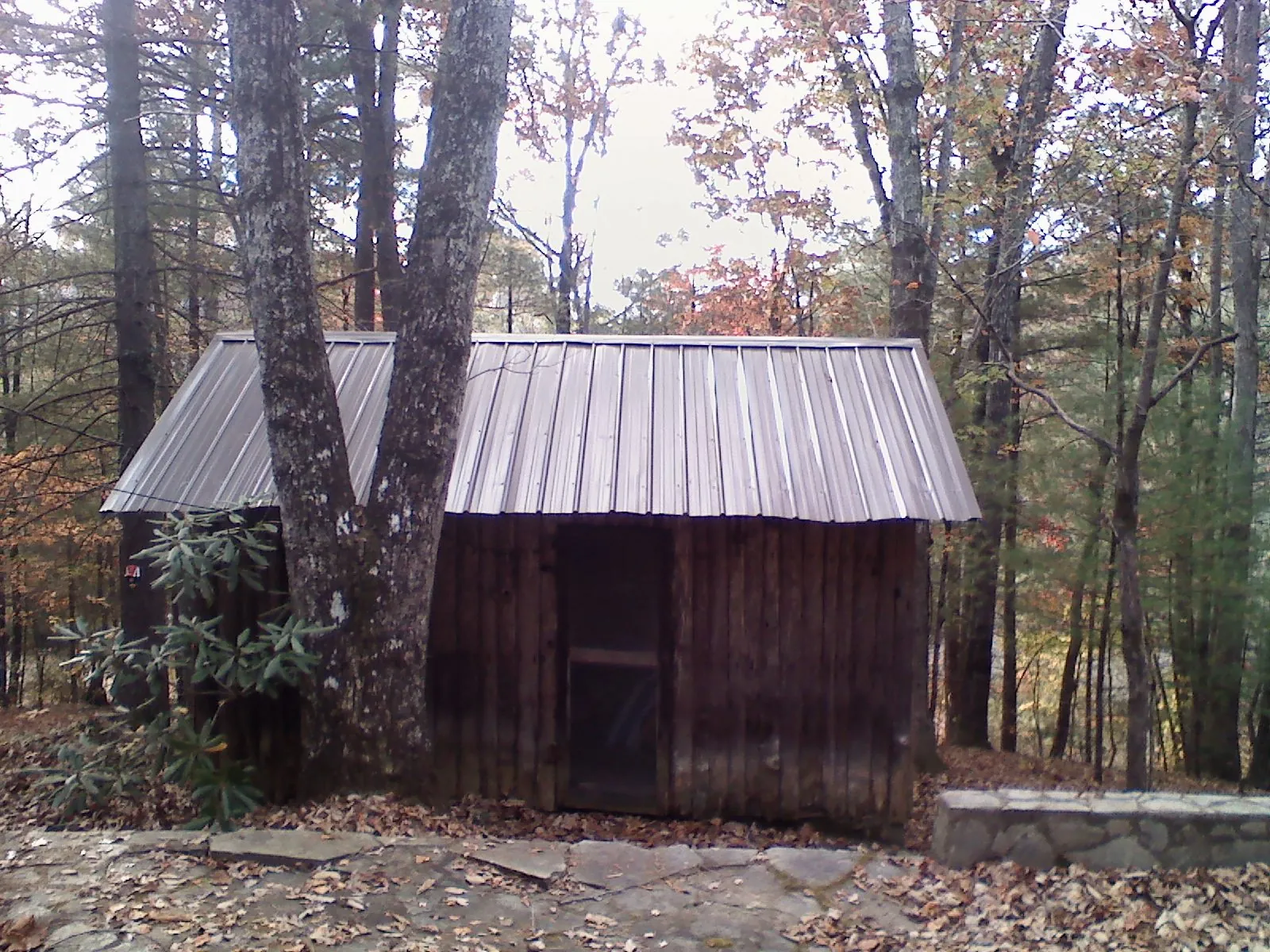 New metal gable roof on a small log shed among the trees in Elmore